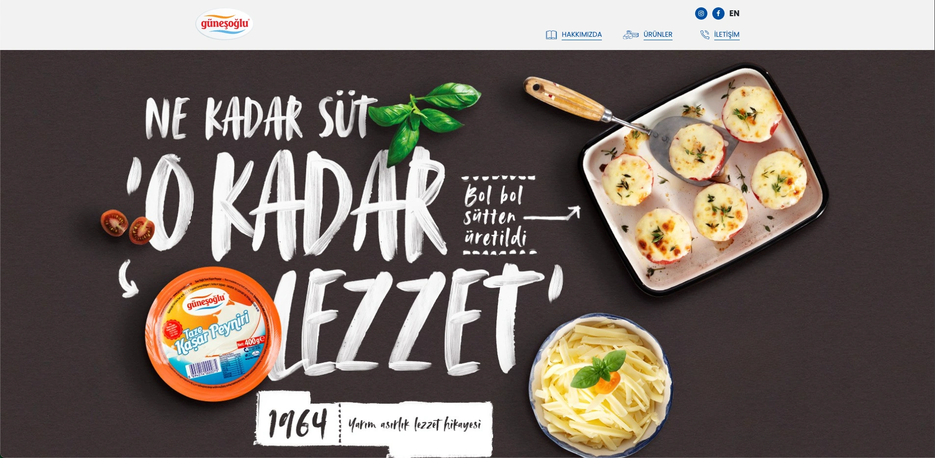 Güneşoğlu Web Sitesi