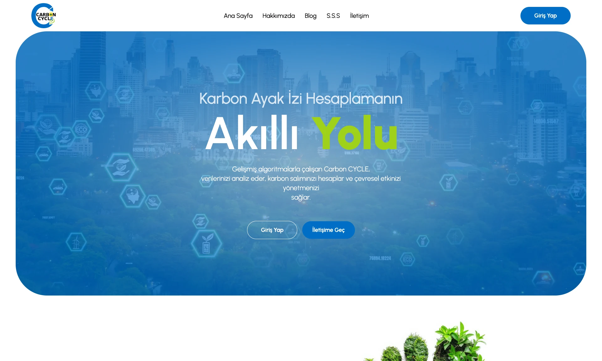 E-Carbon Cycle Web Sitesi