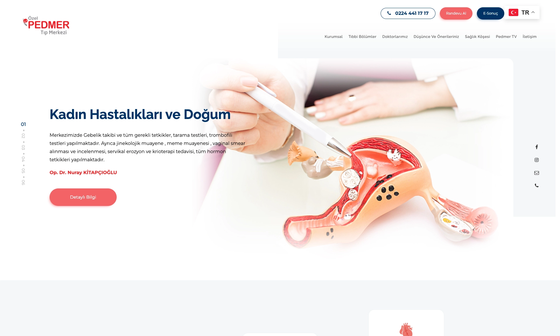 Özel Pedmer Tıp Merkezi Web Sitesi