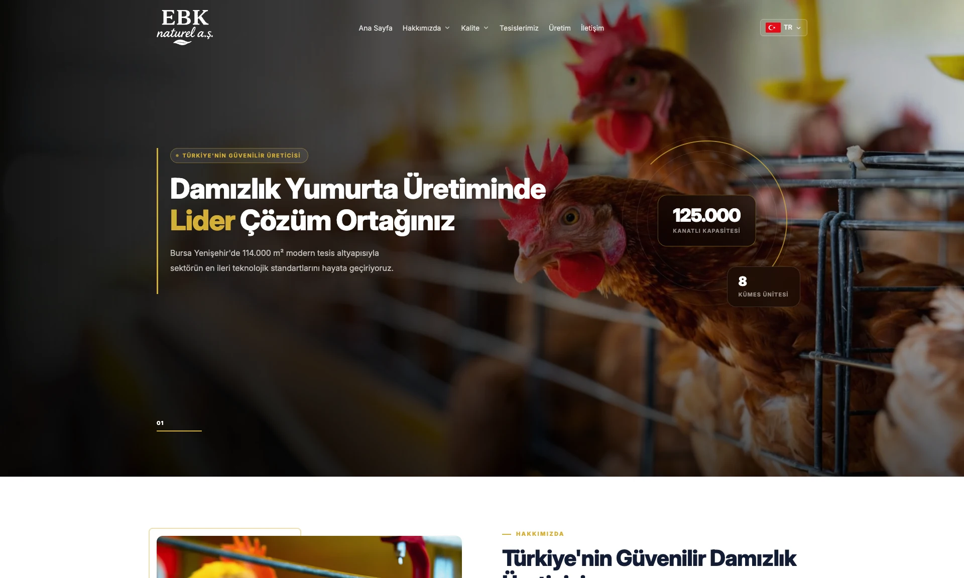 EBK Naturel Web Sitesi